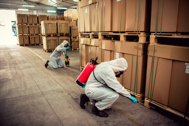 Best Rat Extermination Near Me  in Englewood, NJ
