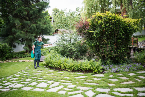 Best Wasp Removal Services  in Englewood, NJ