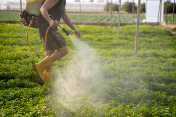 Best Pest Prevention Services  in Englewood, NJ