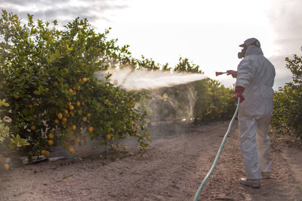 Best Pest Control Near Me in Englewood, NJ