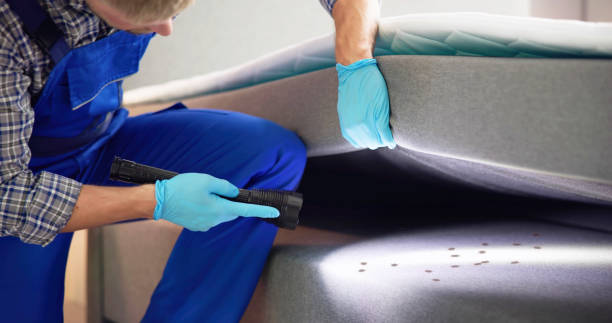 Best Rat Extermination Near Me  in Englewood, NJ