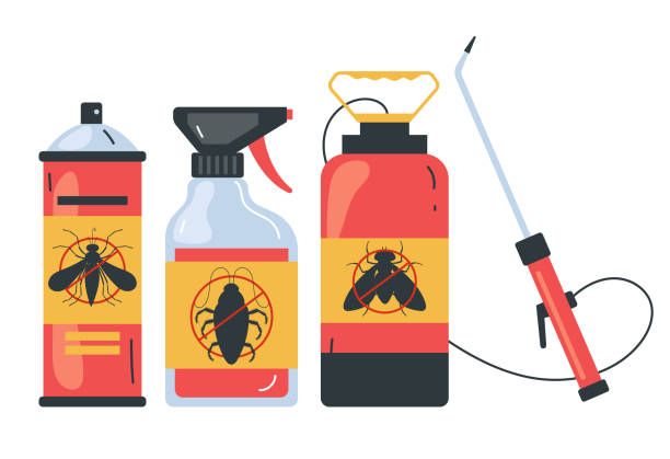 Wasp Removal Services in Englewood, NJ