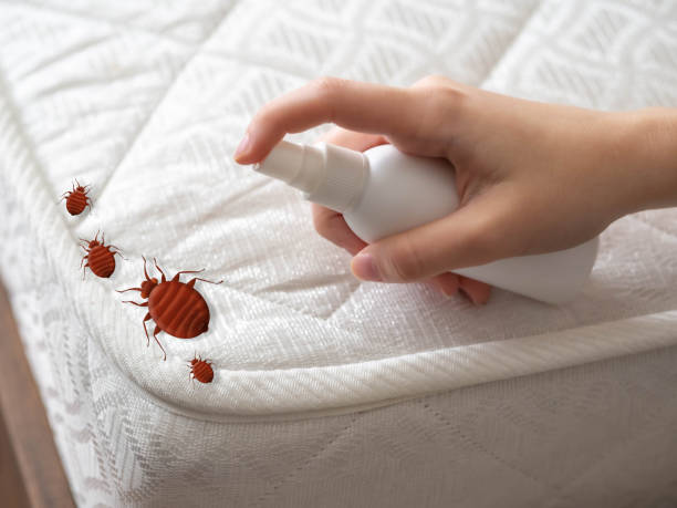 Best Best Pest Control Companies  in Englewood, NJ
